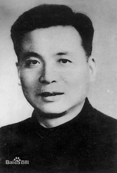 两弹一星八一勋章获得者——致敬伟大的科学家与英雄，致敬两弹一星八一勋章获得者，伟大的科学家与英雄的光辉历程