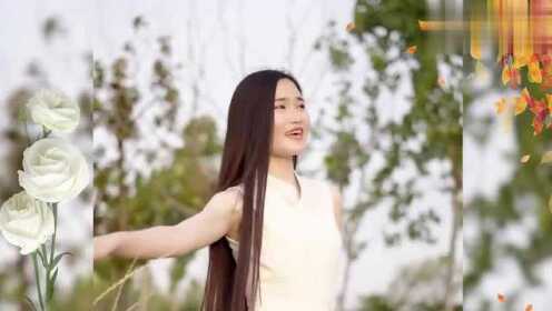 最亲的人歌曲视频，情感与记忆的交织，最亲的人歌曲视频，情感与记忆的交织