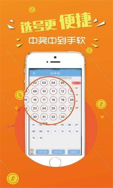 王中王心一肖中特，探寻背后的故事与意义，王中王心一肖中特，背后的故事与意义探究