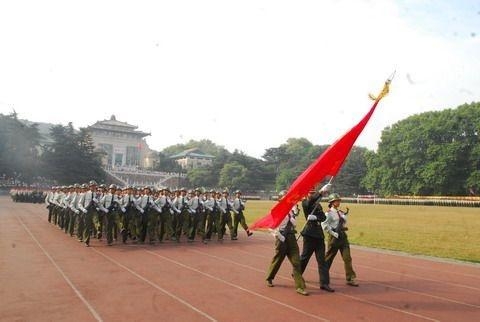 人民武装部官网首页，连接军民，共筑国防之桥，人民武装部官网首页，军民共筑国防之桥