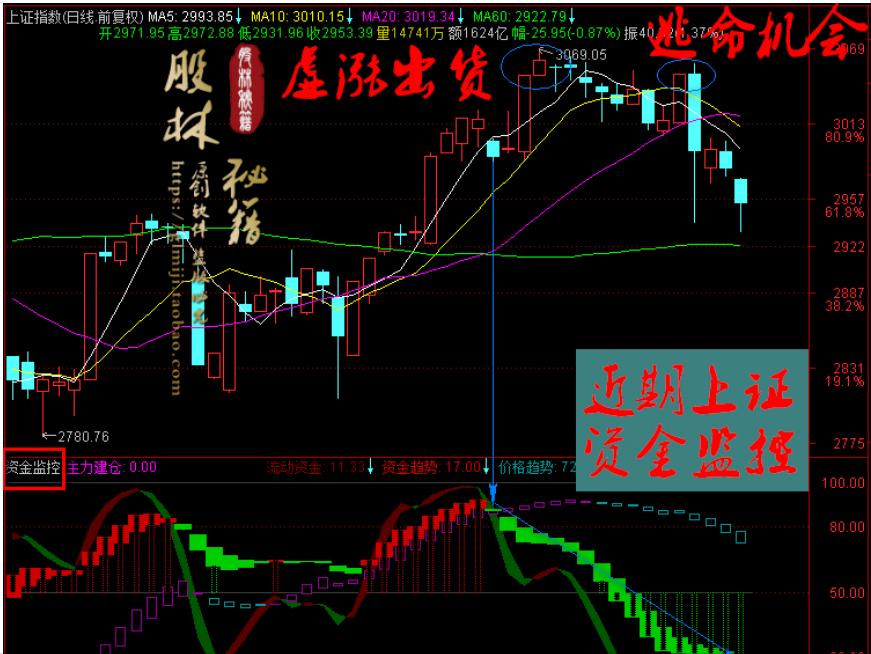 揭秘今日买入明日涨停公式——股市投资的新策略探索，揭秘今日买入明日涨停公式，股市投资新策略揭秘