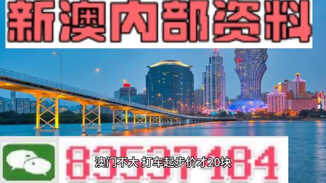探索未来澳门——新澳门资料大全（第123期）展望至2025年，澳门未来展望，新澳门资料大全（至2025年展望）