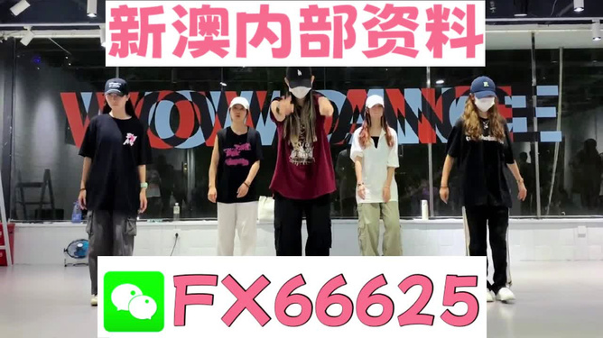 新奥天天免费资料大全，探索与收获，新奥天天免费资料大全，探索之旅与收获时刻