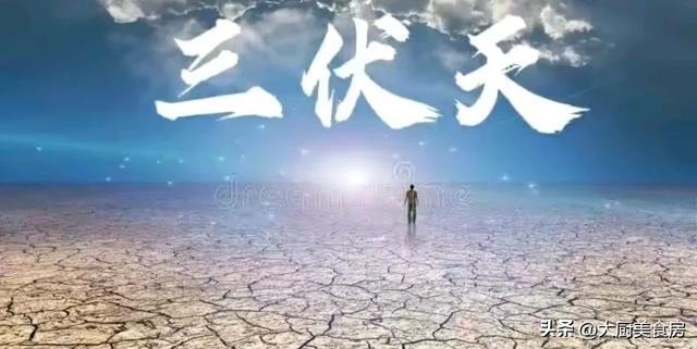 今天几伏天第几天——探寻中国传统节气与季节变迁的奥秘，中国传统节气与季节变迁探秘，今日几伏天第几天？