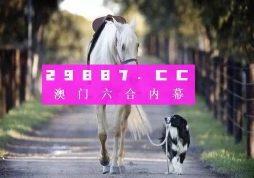 新澳一肖一码，探索与解析，新澳一肖一码，深度探索与解析
