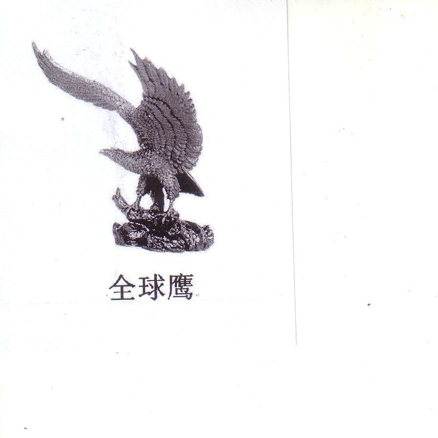 全球鹰航程，探索无界的飞行之旅，全球鹰航程，探索无界的飞行探险之旅