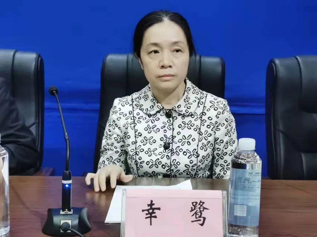 新闻发布会全文，揭示重大事件背后的真相，新闻发布会揭秘重大事件真相的背后