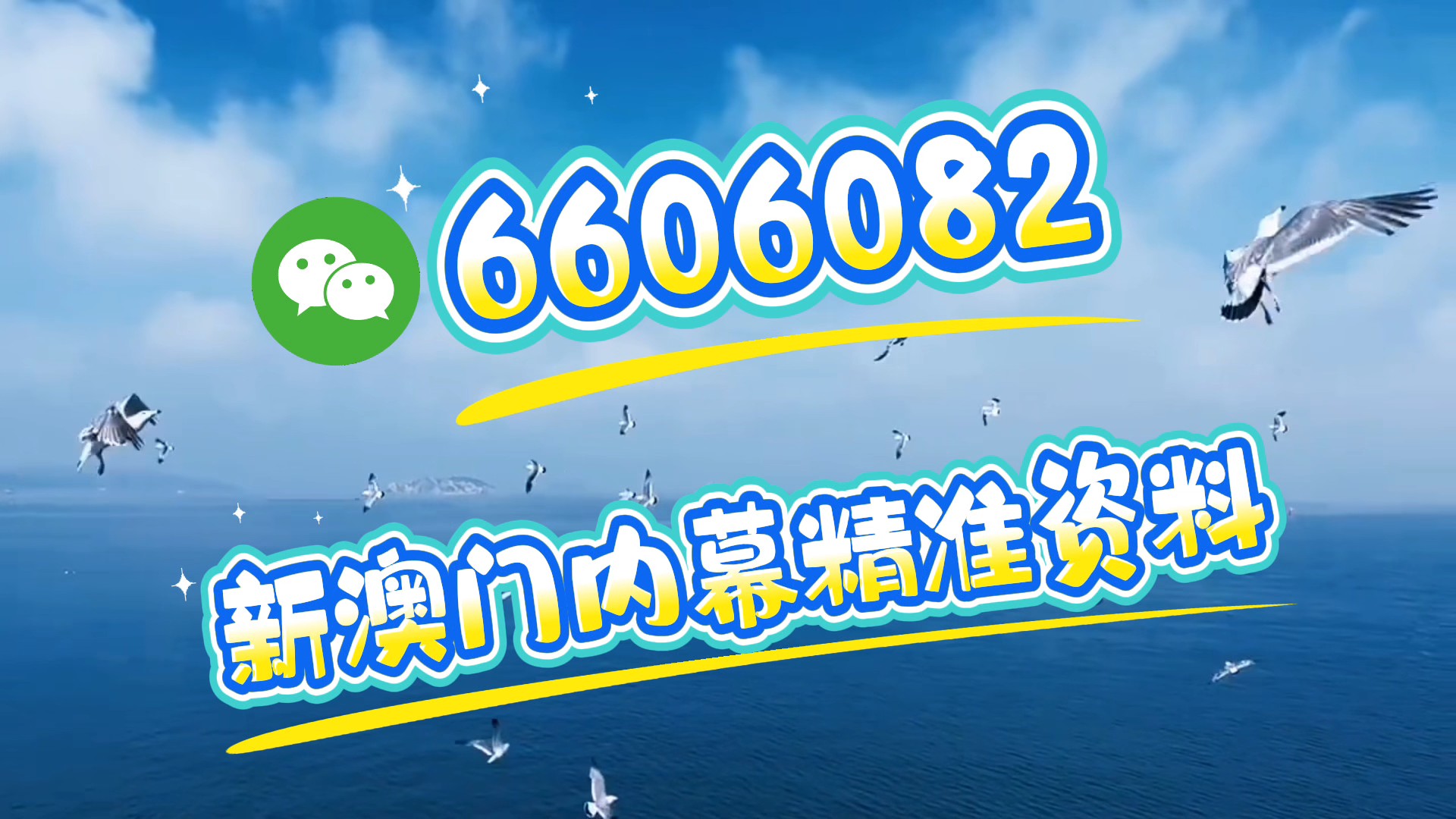 新澳门资料大全正版资料2025年免费下载——探索真实信息的海洋，澳门正版资料大全探索真实信息的海洋（2025年免费下载）