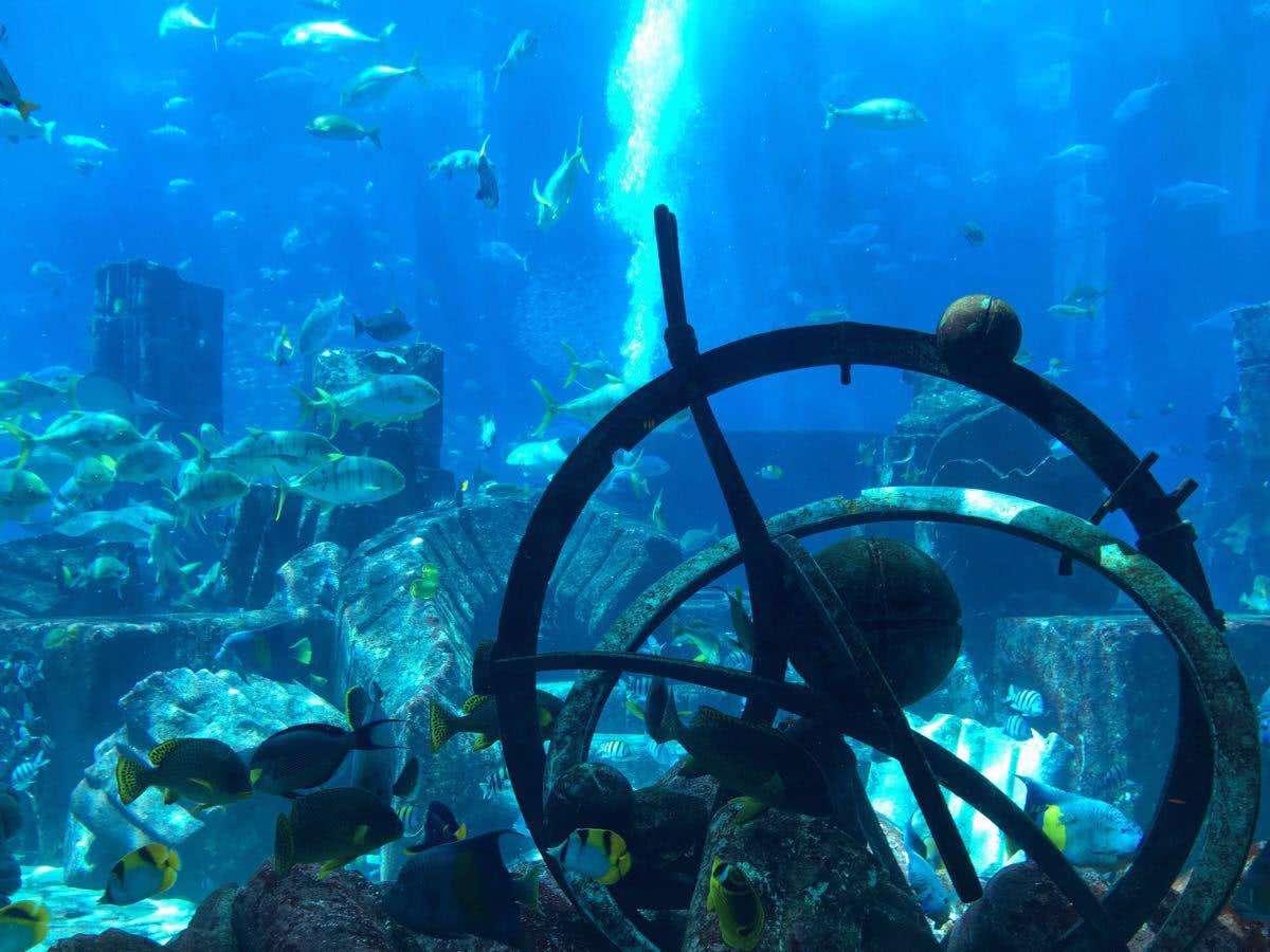 现代海军力量尖端科技