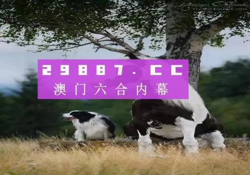 澳门正版资料全年免费公开精准，探索与解读，澳门正版资料全年精准探索与解读