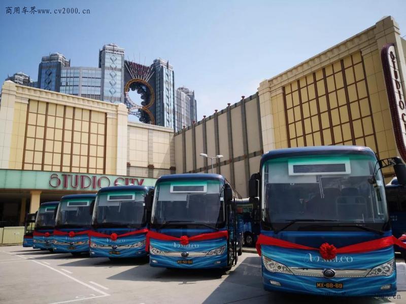 澳门六开奖结果走势图，探索与解析，澳门六开奖结果走势图深度解析与探索