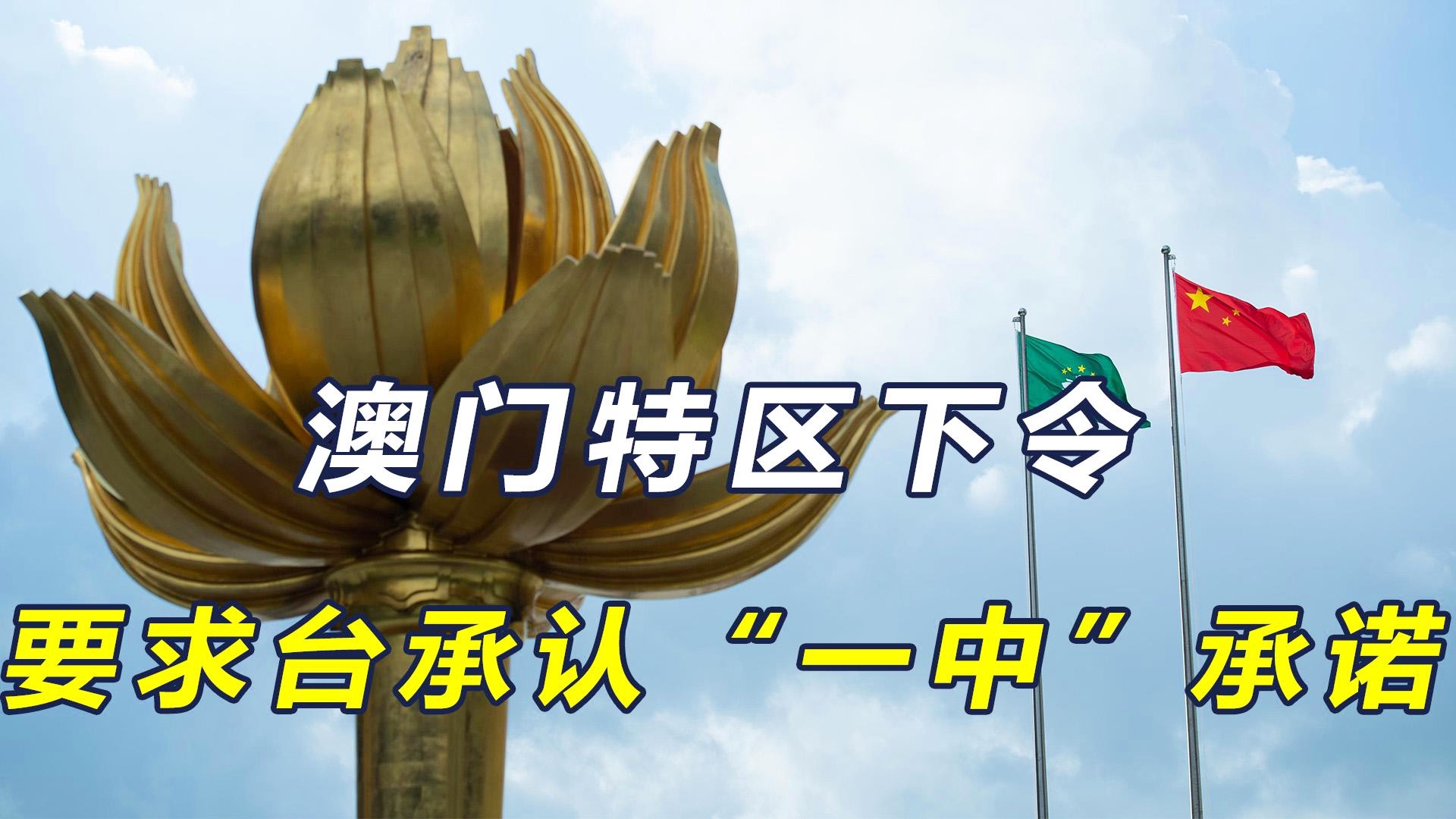 澳门一码一肖一待一中四不像，探索神秘与现实的交织，澳门神秘现象揭秘，一码一肖一待一中四不像的探索之旅