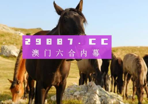 管家婆一肖一码澳门码资料，探索与解析，管家婆一肖一码澳门码资料解析与探索