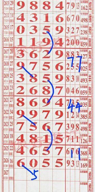 六令彩王中王，一肖中特的奥秘与魅力，六令彩王中王，揭秘一肖中特的奥秘与魅力