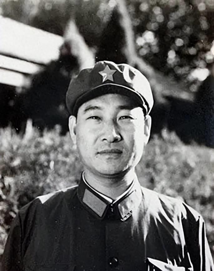 现役上将晋升情况，深度分析与展望，现役上将晋升态势深度分析与展望