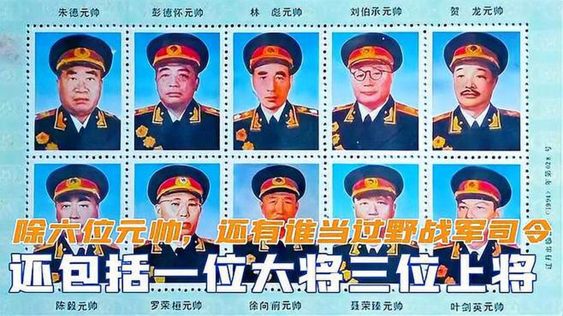 今年上将名单，深度分析与预测，今年上将名单深度解读与预测分析