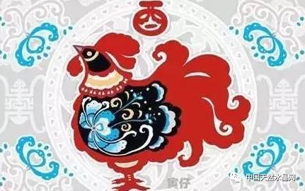 生肖多少倍，背后的文化意义与象征价值，生肖的象征意义与文化价值，深度解读生肖的倍数意义与背后故事