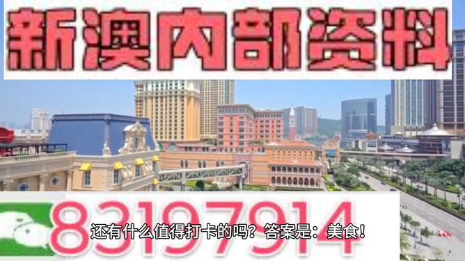 澳门最精准——探索澳门的精准魅力，澳门精准魅力探索之旅