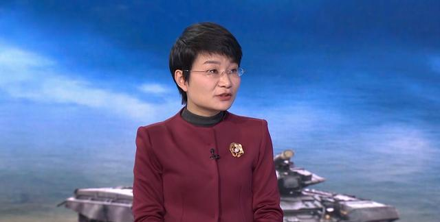 军事评论家苏晓辉个人简介，军事评论家苏晓辉的生平概览