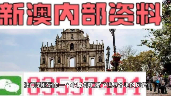澳门精准免费资料大全，探索与解析，澳门精准免费资料大全，深度探索与解析