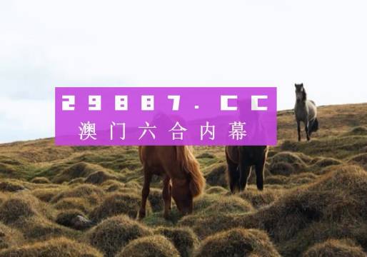 澳门开奖结果2023年年度回顾与展望，澳门开奖结果2023年年度回顾与展望，趋势分析与预测