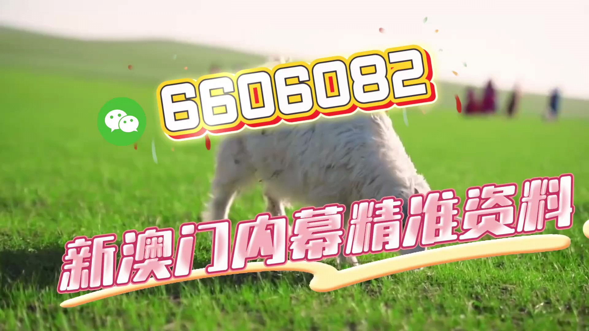 澳门博彩文化
