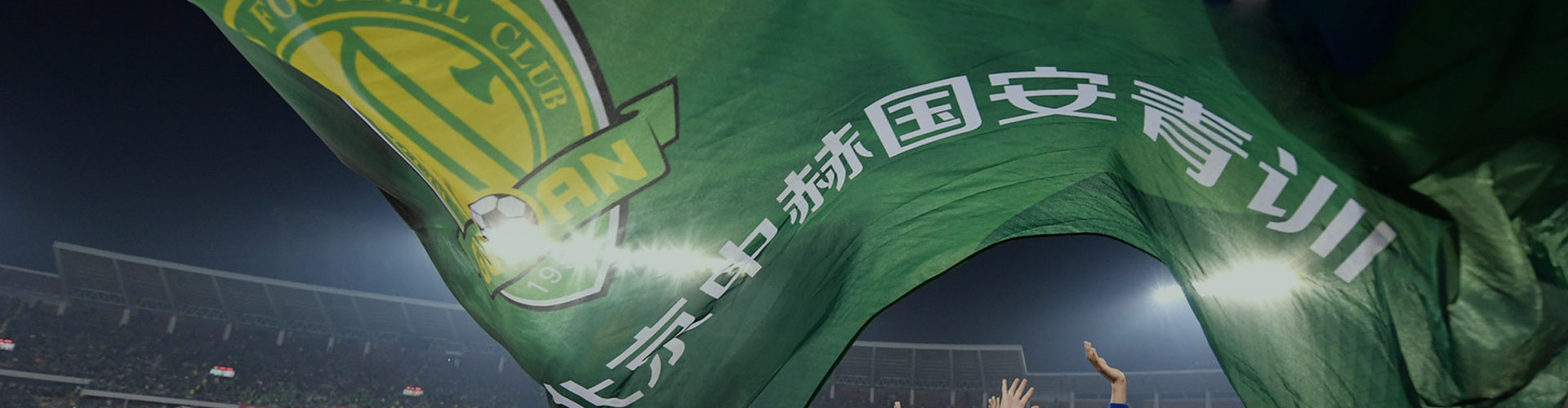 国安官网，探索安全领域的权威平台，国安官网，安全领域的权威探索平台
