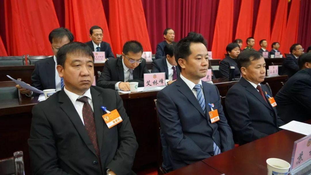 今日几九，时光流转中的节气与生活，时光流转中的节气与生活，今日几九？