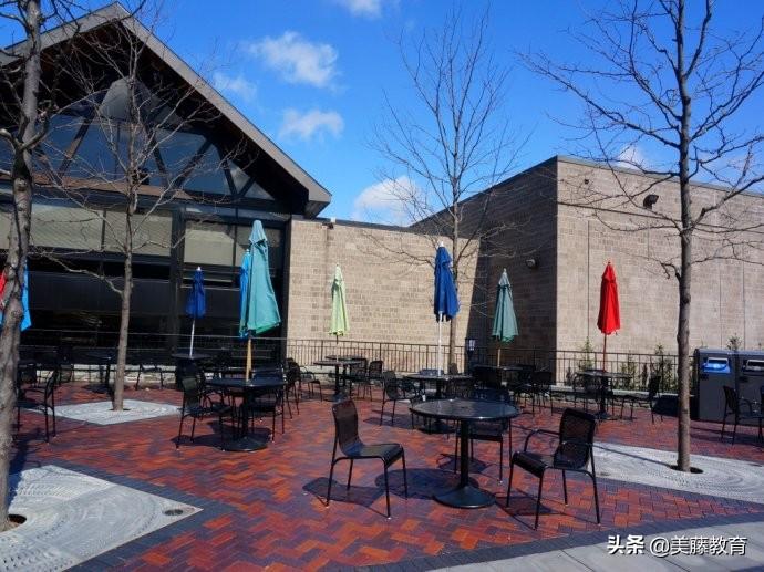 东德克萨斯州大学，学术、文化与生活的璀璨明珠，东德克萨斯州大学，学术、文化与生活的璀璨交汇点