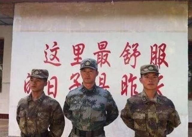 简介/概览