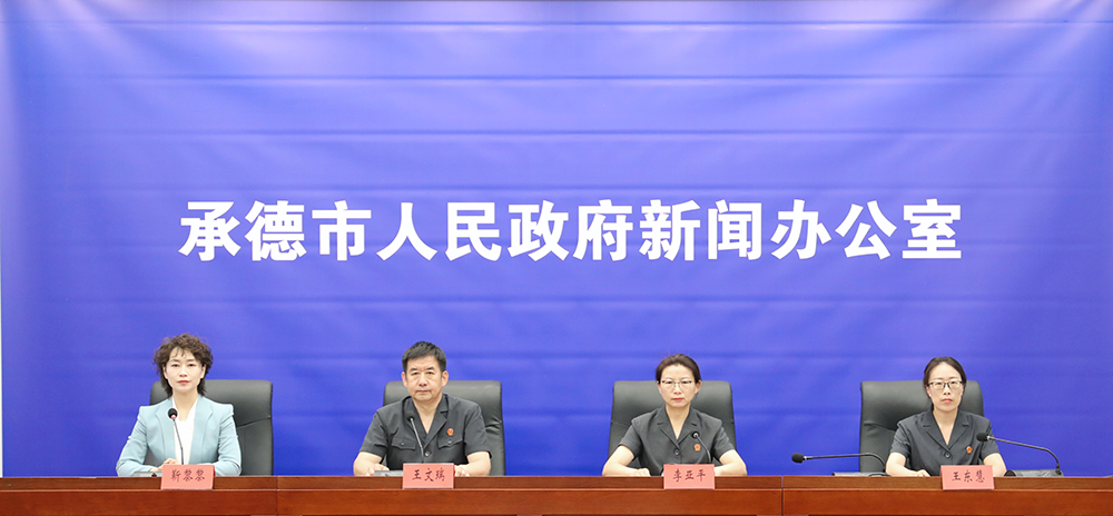凤凰网新闻报道下的社会热点深度解析，凤凰网新闻解读，社会热点深度剖析