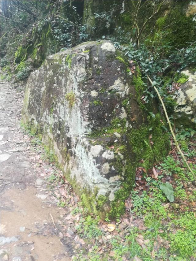 热点 第34页