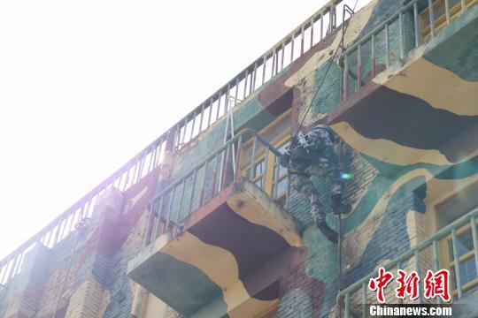蛟龙突击队，顶尖的实力与不凡的传奇，蛟龙突击队，顶尖实力与传奇故事