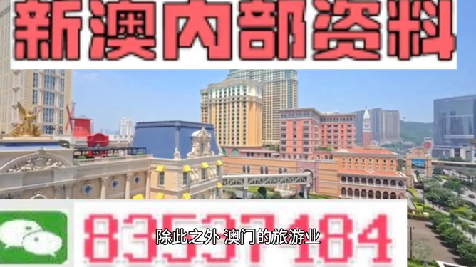探索澳门未来蓝图，状元红与澳门发展的交汇点，澳门未来蓝图探索，状元红与发展交汇点