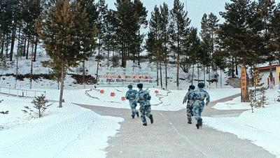 中国人民解放军空军兵种概览，中国人民解放军空军兵种全面概览