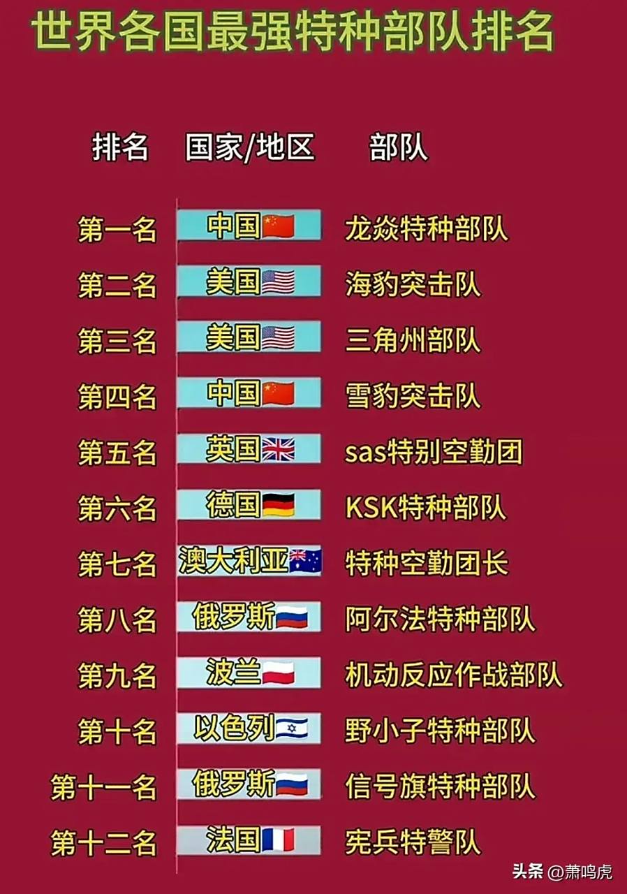 炎龙特种兵在中国军队中的排名探讨，炎龙特种兵在中国军队中的排名解析