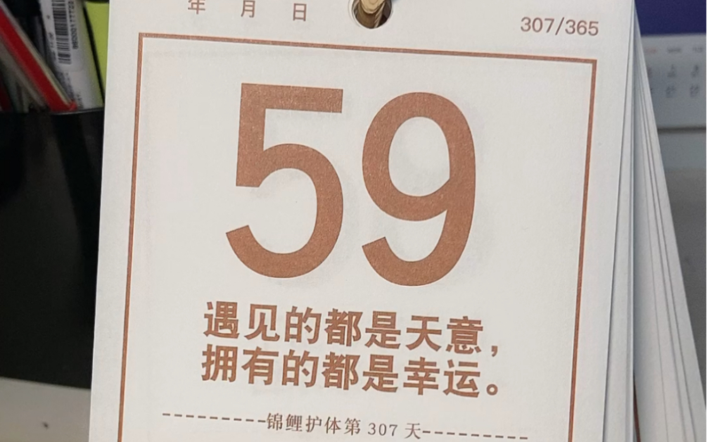 历时56天，一场深刻的人生旅程，历时56天的深刻人生旅程体验