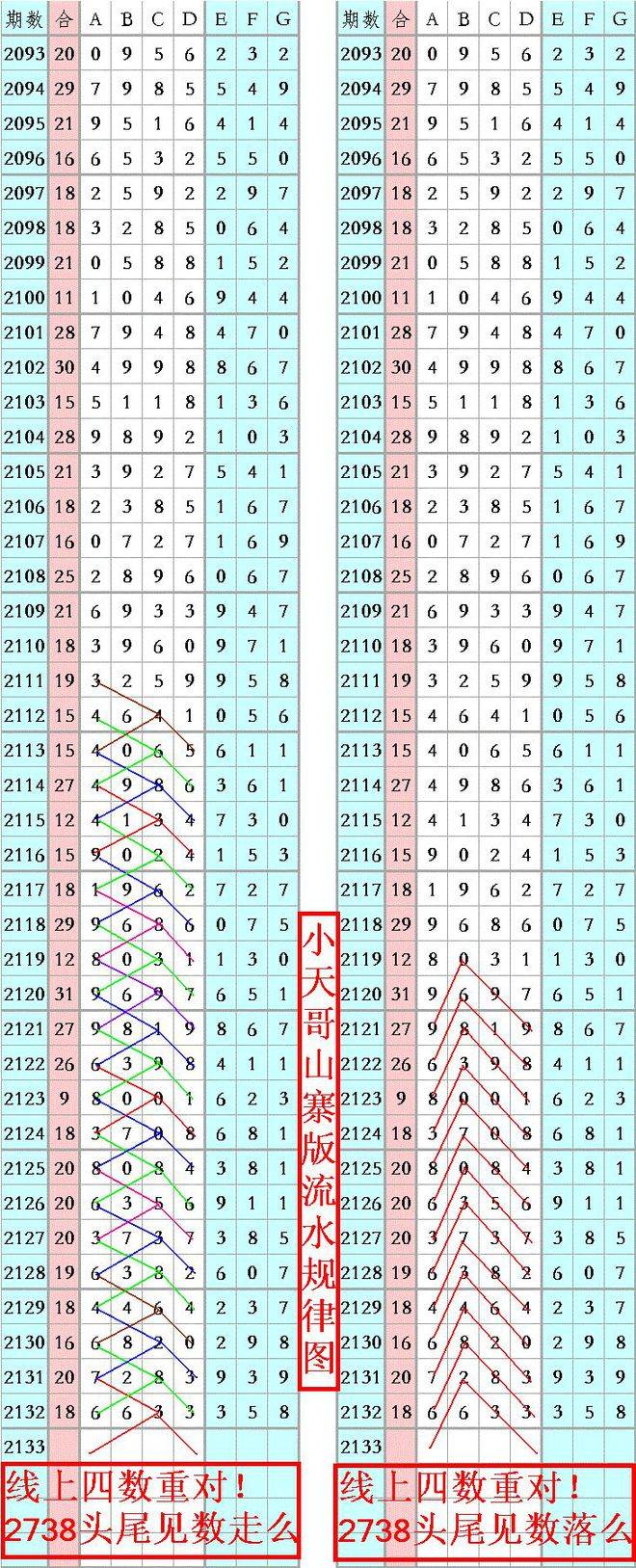 王中王一肖平特免费公开，揭秘背后的秘密与真相，揭秘王中王一肖平特背后的秘密与真相（免费公开）
