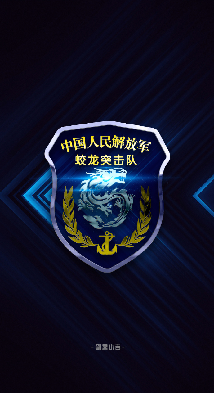 蛟龙突击队臂章高清，荣耀的象征与力量的展现，蛟龙突击队臂章高清，荣耀与力量的象征