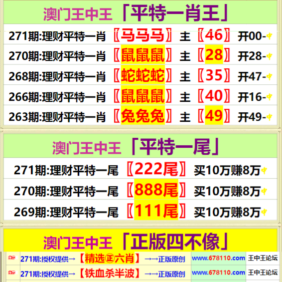 王中王资料一肖特中论坛，深度探讨与综合研究，王中王资料一肖特中论坛，深度探讨与综合研究综述