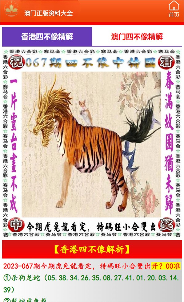 澳门最准的资料一肖中特，探索与揭秘，澳门最准资料揭秘，一肖中特探索之旅