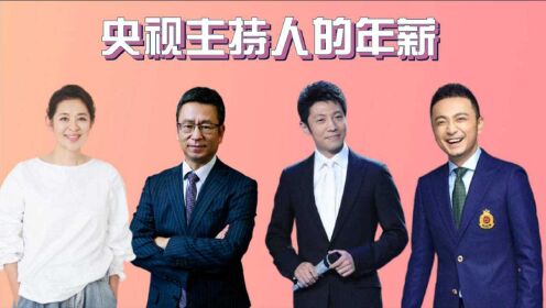 中央新闻主持人的工资每月多少，揭秘与探讨，揭秘中央新闻主持人月工资水平，深度探讨与解析
