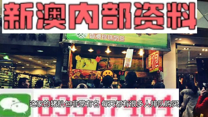 新澳六叔精准资料大全，探索与解析，新澳六叔精准资料大全，深度探索与全面解析