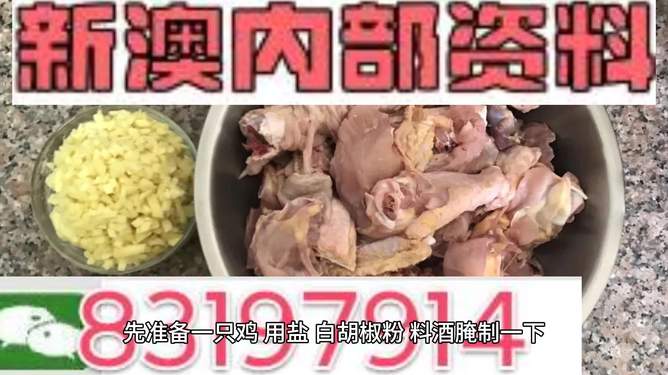 探索未来之门，澳门新资料鸡号展望（2025年展望），探索未来之门，澳门新资料鸡号展望至2025年