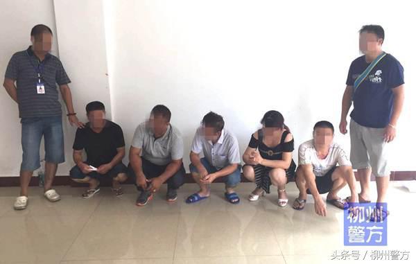 澳门六仔开奖结果，探索与解析，澳门六仔开奖结果解析与探索