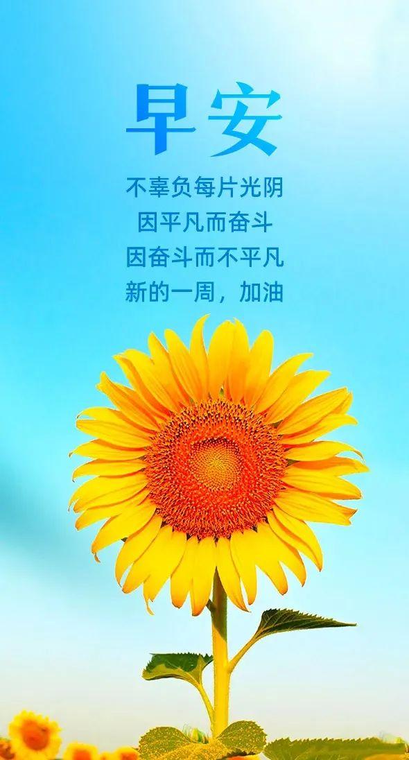 深度国际，探索未来的全球视野与机遇，深度国际，全球视野下的未来机遇探索