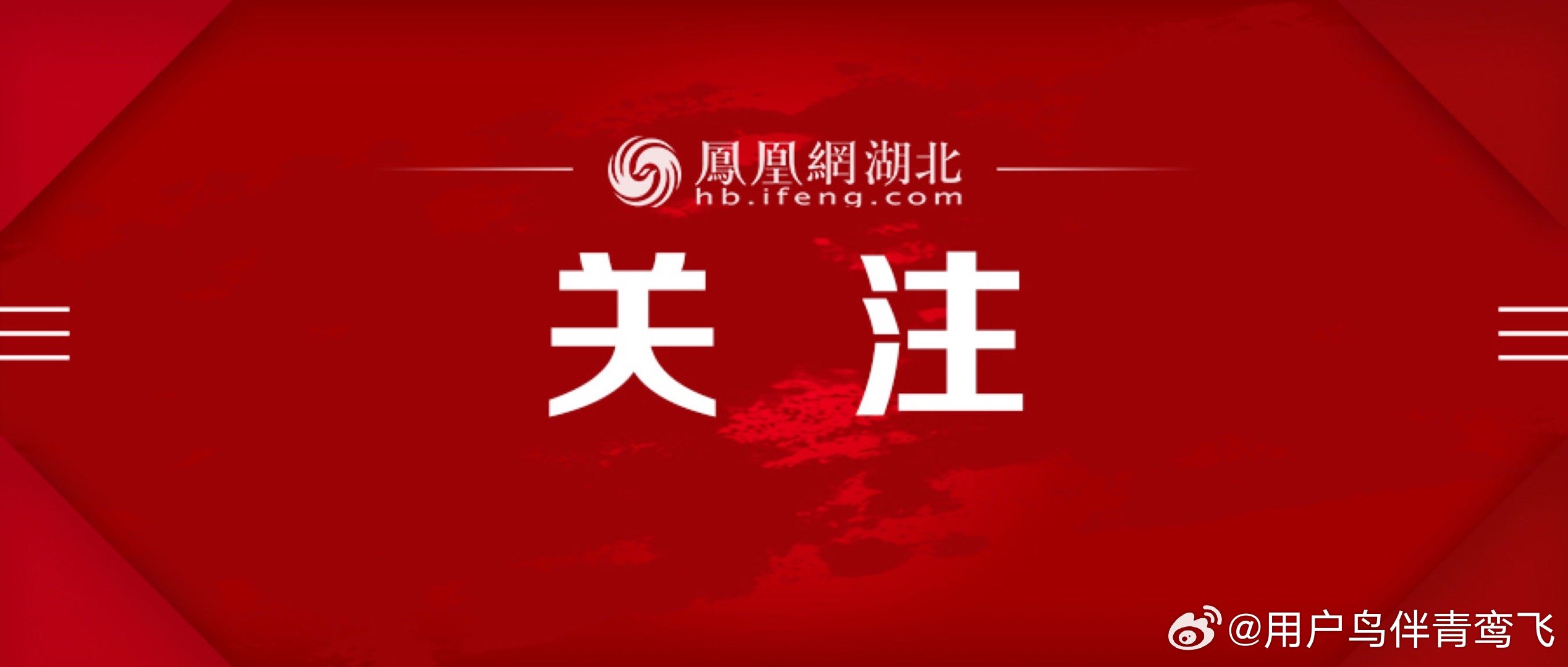凤凰网新闻客户端下载，获取最新资讯的便捷途径，凤凰网新闻客户端，获取最新资讯的便捷通道