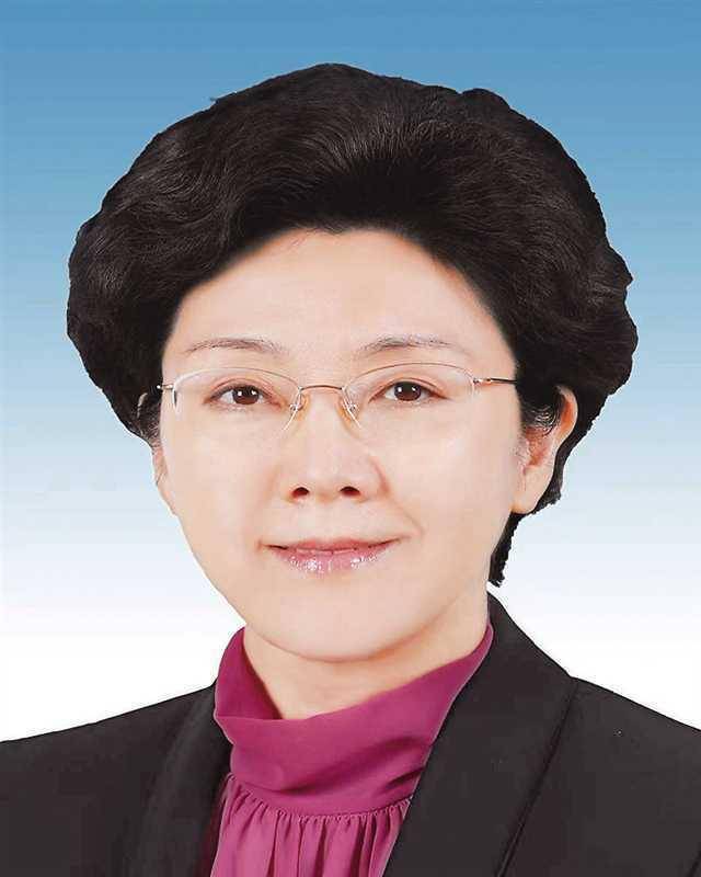 简历概览