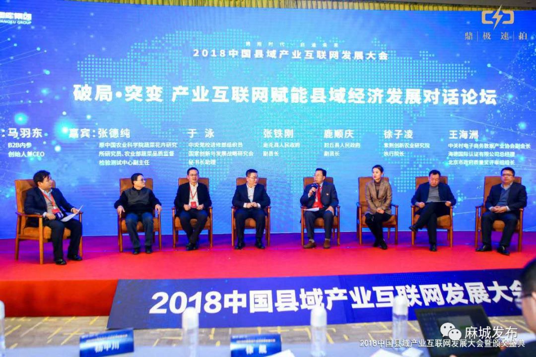麻城最新新闻消息全面报道，麻城最新新闻全面报道速递