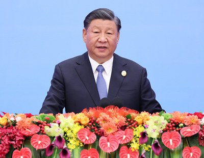 三肖王中王选一肖，探寻最佳选择的背后逻辑，探寻三肖王中王选一肖的背后逻辑